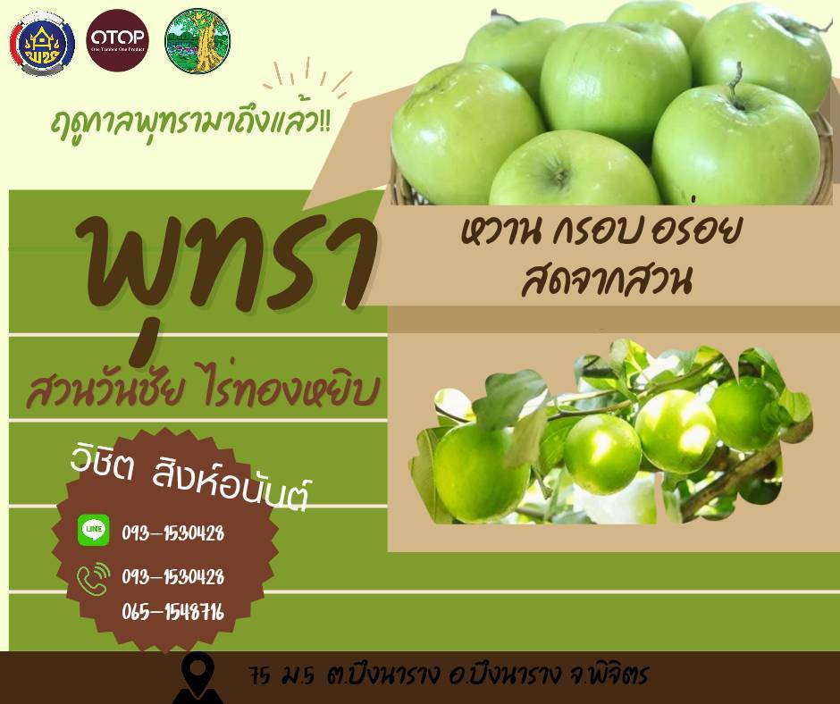 พช.บึงนาราง  ขอเชิญท่านสัมผัสรสชาติความสด  กรอบ หวานแบบธรรมชาติ "พุทรา สวนวันชัย ไร่ทองหยิบ" ที่คุณควรลอง 🔊